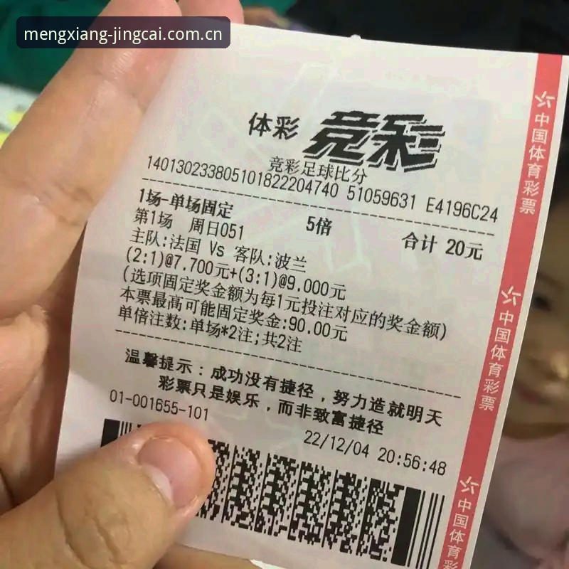 世界杯赔率查询官网 vs 普通竞猜平台：专业玩家如何选择？